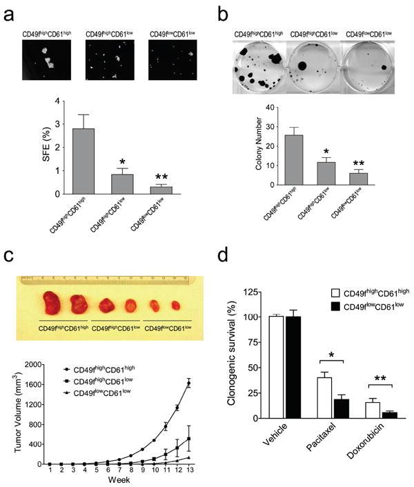 https://cdn.ncbi.nlm.nih.gov/pmc/blobs/ccc4/3260386/20e820cf0d6a/nihms320648f4.jpg