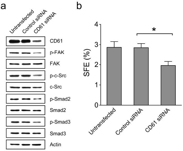 https://cdn.ncbi.nlm.nih.gov/pmc/blobs/ccc4/3260386/45431c78348b/nihms320648f8.jpg