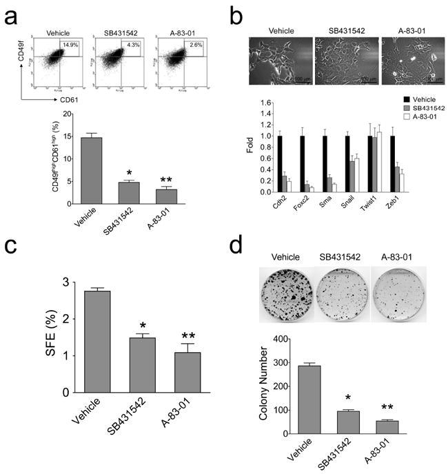https://cdn.ncbi.nlm.nih.gov/pmc/blobs/ccc4/3260386/6a987e599500/nihms320648f7.jpg