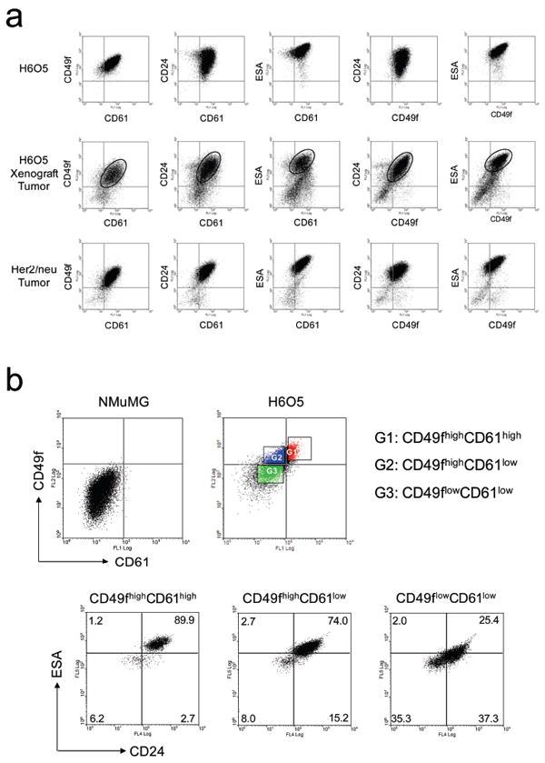 https://cdn.ncbi.nlm.nih.gov/pmc/blobs/ccc4/3260386/6ac77203b420/nihms320648f3.jpg
