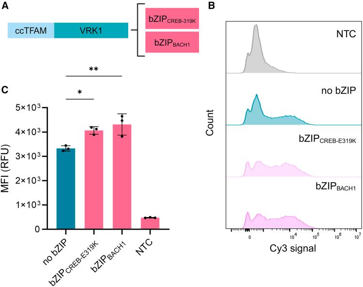 https://cdn.ncbi.nlm.nih.gov/pmc/blobs/ccc5/12018551/68d344ca74c3/gr5.jpg
