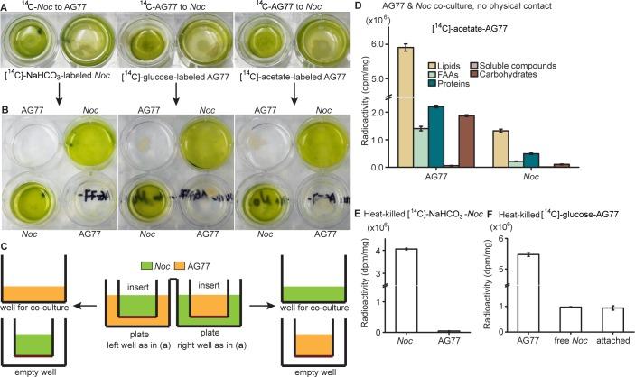 https://cdn.ncbi.nlm.nih.gov/pmc/blobs/ccc5/6634985/c8c78845bd91/elife-47815-fig2-figsupp2.jpg