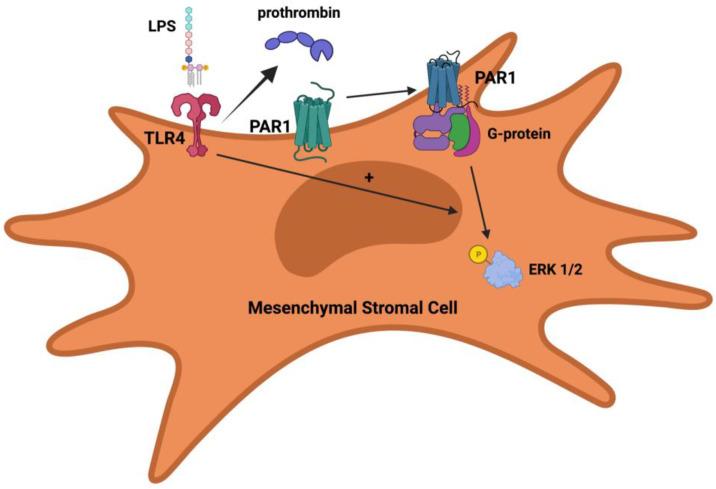 https://cdn.ncbi.nlm.nih.gov/pmc/blobs/ccca/8836081/6e1fc6d87715/ijms-23-01277-g001.jpg