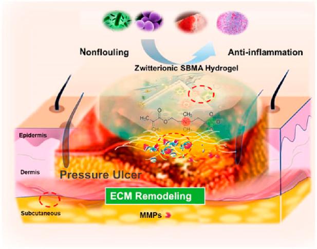 https://cdn.ncbi.nlm.nih.gov/pmc/blobs/cccb/11872921/8c2b041fee82/fbioe-13-1535588-g002.jpg