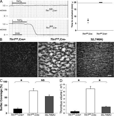 https://cdn.ncbi.nlm.nih.gov/pmc/blobs/cccb/2150986/69a2a7176f12/jem2043103f03.jpg