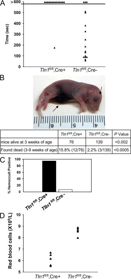 https://cdn.ncbi.nlm.nih.gov/pmc/blobs/cccb/2150986/93fe8fdfaea1/jem2043103f02.jpg