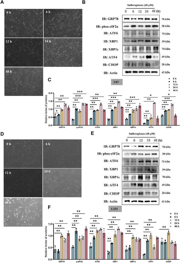 https://cdn.ncbi.nlm.nih.gov/pmc/blobs/cccc/12210932/283483bd6852/12885_2025_14378_Fig4_HTML.jpg