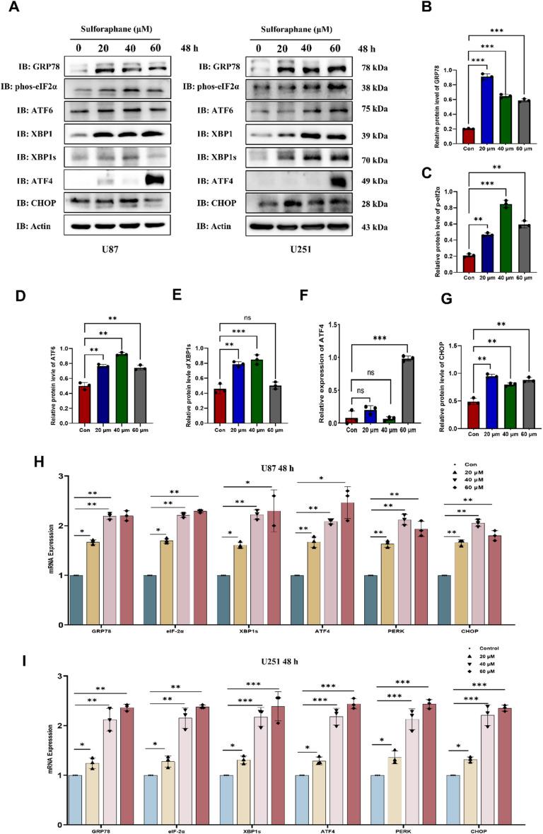 https://cdn.ncbi.nlm.nih.gov/pmc/blobs/cccc/12210932/73b0820ff484/12885_2025_14378_Fig3_HTML.jpg
