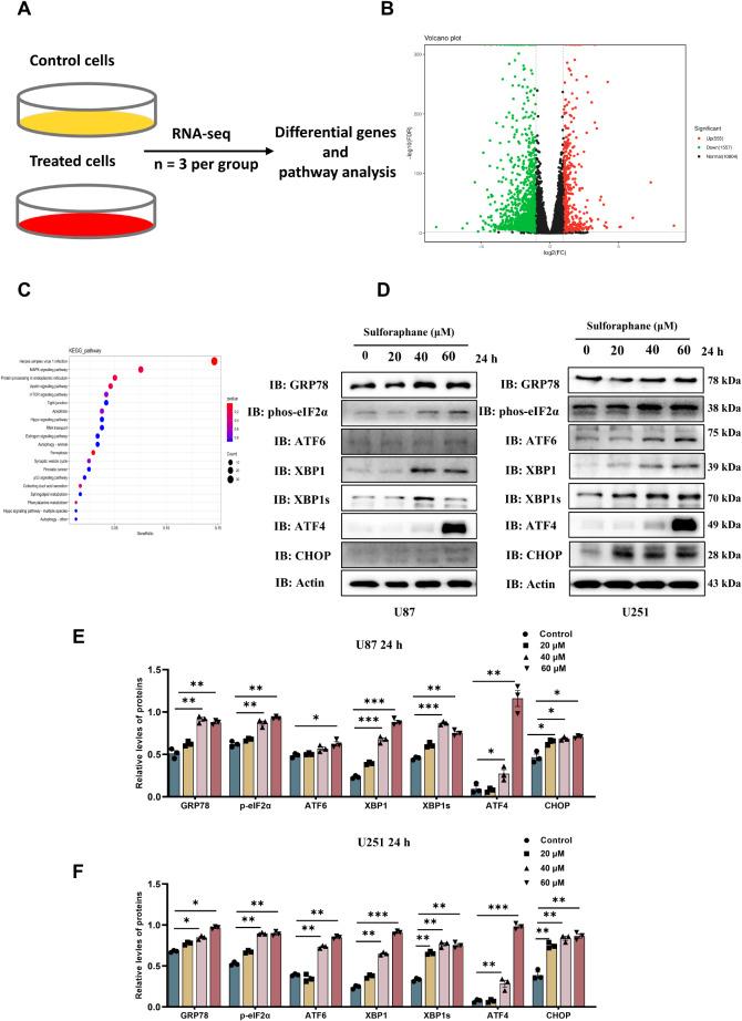 https://cdn.ncbi.nlm.nih.gov/pmc/blobs/cccc/12210932/8ba2b781e9a7/12885_2025_14378_Fig2_HTML.jpg