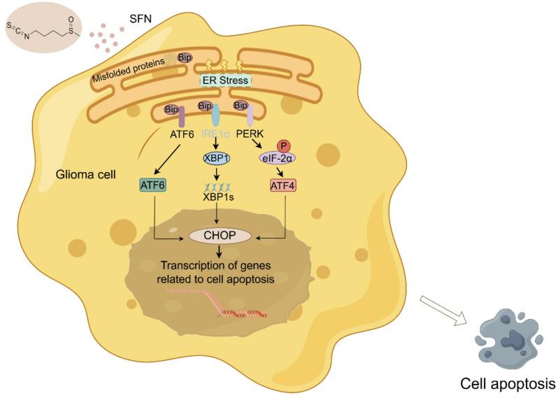 https://cdn.ncbi.nlm.nih.gov/pmc/blobs/cccc/12210932/b7b892b7f2a8/12885_2025_14378_Fig7_HTML.jpg