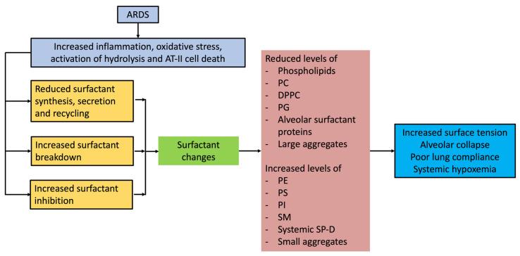 https://cdn.ncbi.nlm.nih.gov/pmc/blobs/ccce/10528901/851aae006d78/diagnostics-13-02964-g001.jpg
