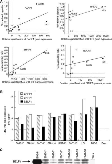https://cdn.ncbi.nlm.nih.gov/pmc/blobs/ccd2/2361178/806dcb0a1581/94-6602968f3.jpg