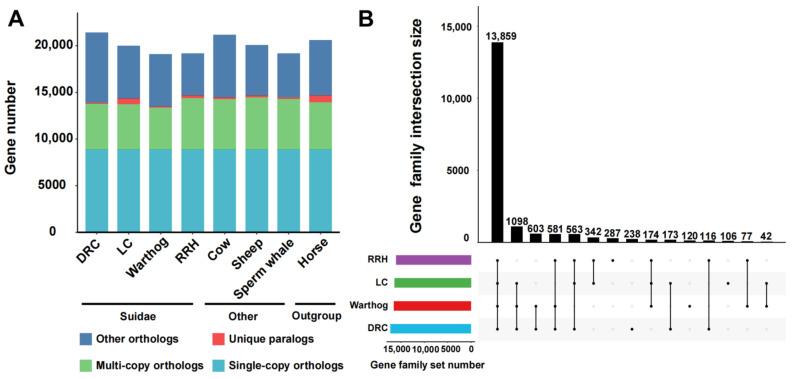 https://cdn.ncbi.nlm.nih.gov/pmc/blobs/ccd3/10888464/01d419413851/genes-15-00166-g001.jpg