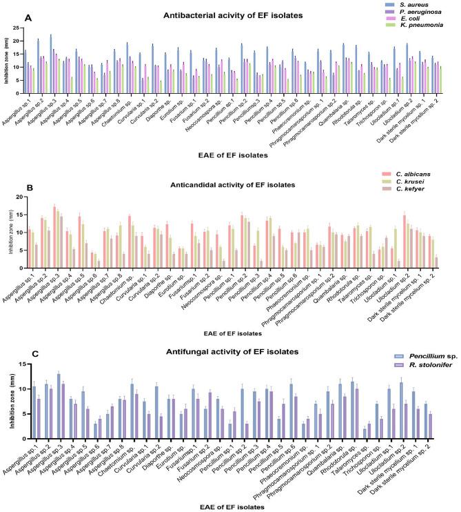 https://cdn.ncbi.nlm.nih.gov/pmc/blobs/ccd4/12134281/f0954107cf3b/41598_2025_1202_Fig4_HTML.jpg