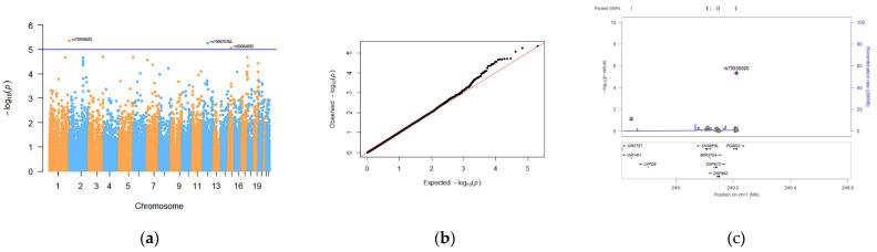 https://cdn.ncbi.nlm.nih.gov/pmc/blobs/ccd4/9602091/0950928a3380/genes-13-01867-g002.jpg