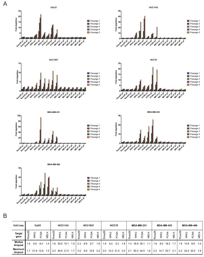 https://cdn.ncbi.nlm.nih.gov/pmc/blobs/ccd5/5365317/a55f19650f26/elife-24179-fig2.jpg
