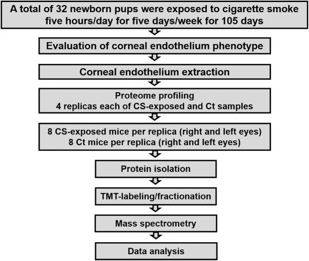 https://cdn.ncbi.nlm.nih.gov/pmc/blobs/ccd5/7938020/cfbc4ee45b38/iovs-62-3-3-f001.jpg