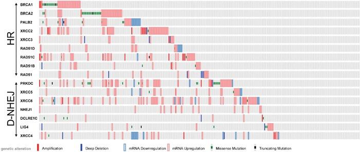 https://cdn.ncbi.nlm.nih.gov/pmc/blobs/ccd6/5342760/814a2d601c3c/oncotarget-07-75551-g001.jpg
