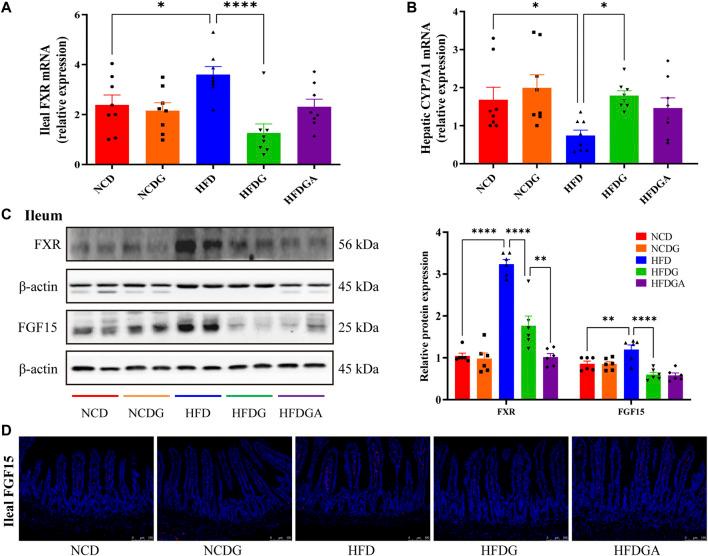 https://cdn.ncbi.nlm.nih.gov/pmc/blobs/ccd7/8724542/0d37b056fbfb/fphar-12-796590-g005.jpg