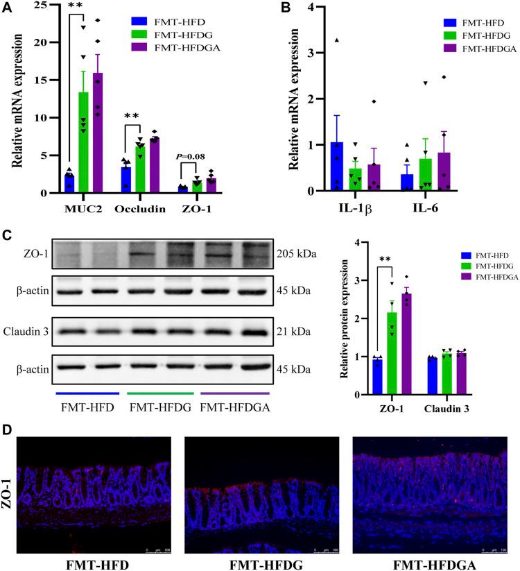 https://cdn.ncbi.nlm.nih.gov/pmc/blobs/ccd7/8724542/870abdde9166/fphar-12-796590-g008.jpg