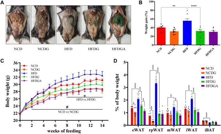 https://cdn.ncbi.nlm.nih.gov/pmc/blobs/ccd7/8724542/f46945faa2e4/fphar-12-796590-g001.jpg