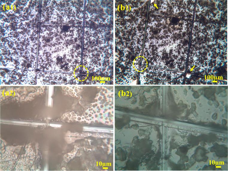 https://cdn.ncbi.nlm.nih.gov/pmc/blobs/ccd8/11342069/d089c95a42d4/d4ra03931a-f10.jpg