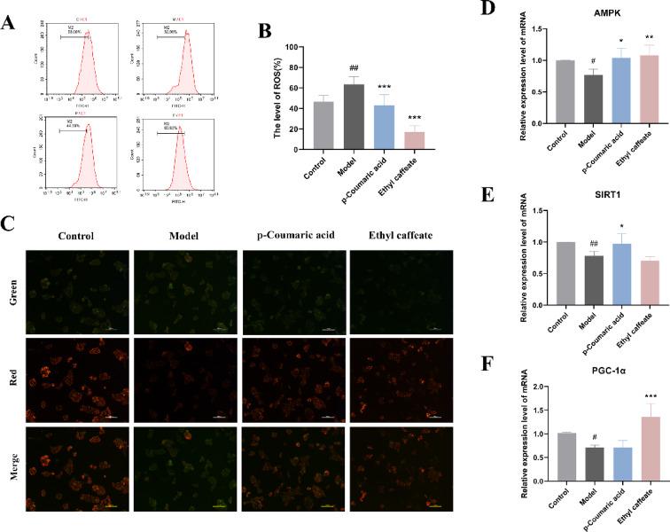 https://cdn.ncbi.nlm.nih.gov/pmc/blobs/ccd8/12274468/2f443b5cc72d/41598_2025_12126_Fig10_HTML.jpg