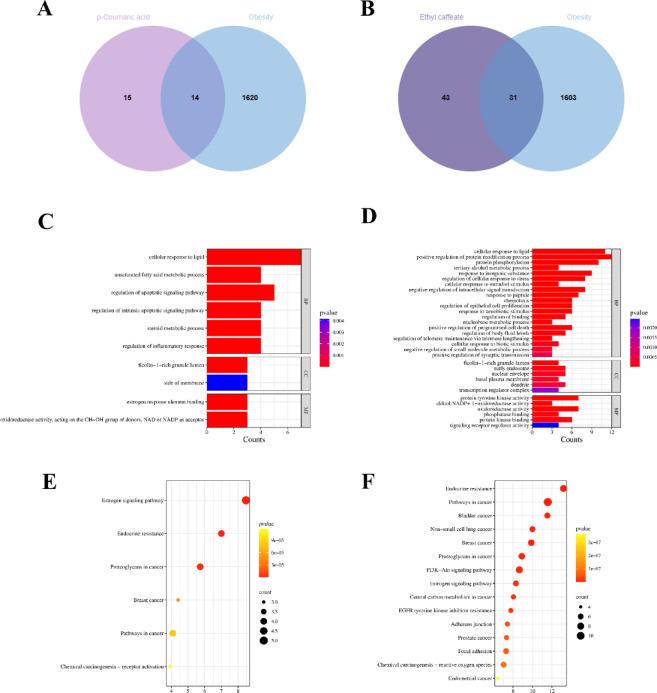 https://cdn.ncbi.nlm.nih.gov/pmc/blobs/ccd8/12274468/426153dd3c7a/41598_2025_12126_Fig7_HTML.jpg