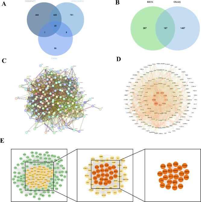 https://cdn.ncbi.nlm.nih.gov/pmc/blobs/ccd8/12274468/92362f04c0ea/41598_2025_12126_Fig4_HTML.jpg