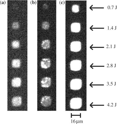 https://cdn.ncbi.nlm.nih.gov/pmc/blobs/ccd8/2248760/034ed2ae7096/gkm1103f6.jpg