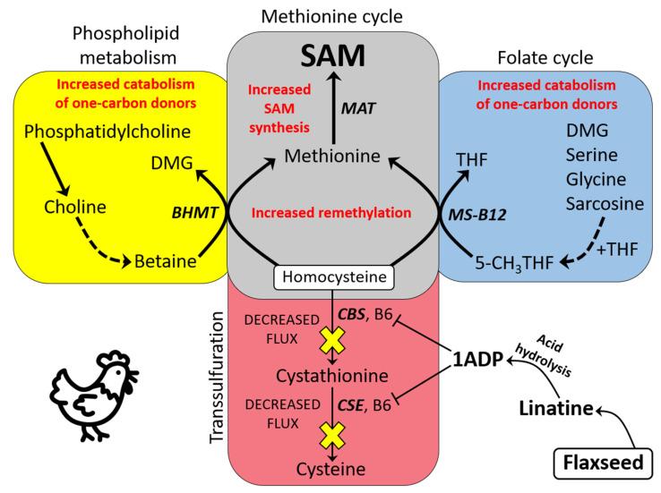 https://cdn.ncbi.nlm.nih.gov/pmc/blobs/ccd9/8471351/2b70242dcad8/molecules-26-05674-g008.jpg
