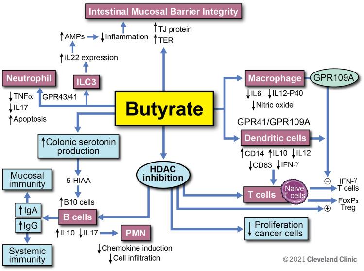 https://cdn.ncbi.nlm.nih.gov/pmc/blobs/ccdb/8608412/8bcfe1e396ee/JIR-14-6025-g0004.jpg