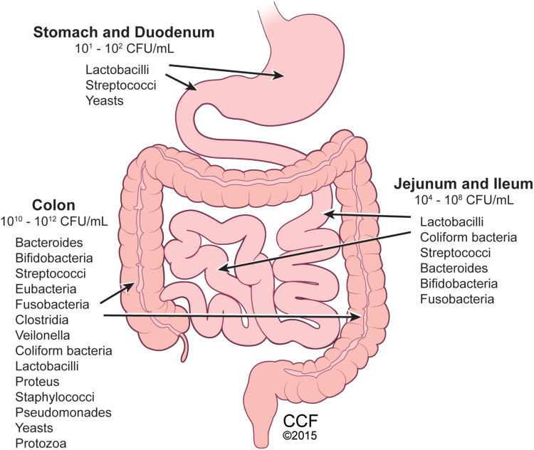 https://cdn.ncbi.nlm.nih.gov/pmc/blobs/ccdb/8608412/9cdf54459868/JIR-14-6025-g0001.jpg