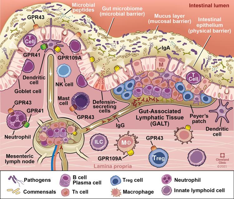 https://cdn.ncbi.nlm.nih.gov/pmc/blobs/ccdb/8608412/c3a80199d285/JIR-14-6025-g0003.jpg