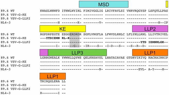 https://cdn.ncbi.nlm.nih.gov/pmc/blobs/cce0/2998427/10b752b1a00e/pone.0015261.g002.jpg