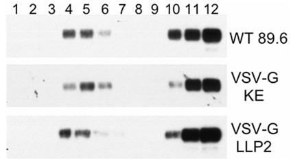 https://cdn.ncbi.nlm.nih.gov/pmc/blobs/cce0/2998427/694636c645fb/pone.0015261.g004.jpg