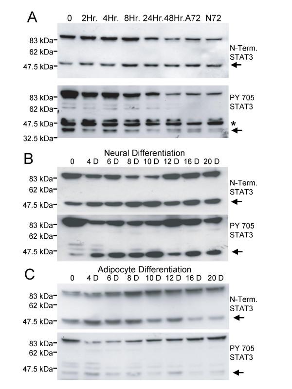 https://cdn.ncbi.nlm.nih.gov/pmc/blobs/cce1/1800902/3895c1872485/1471-2407-7-29-3.jpg