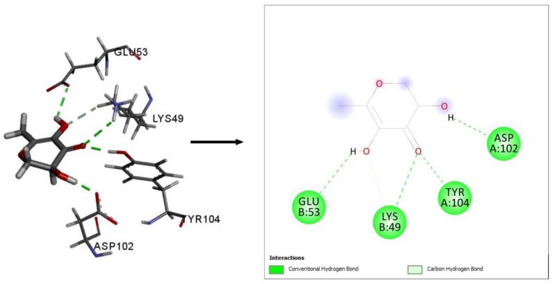 https://cdn.ncbi.nlm.nih.gov/pmc/blobs/cce1/8068331/a197115ee0a3/plants-10-00728-g006.jpg