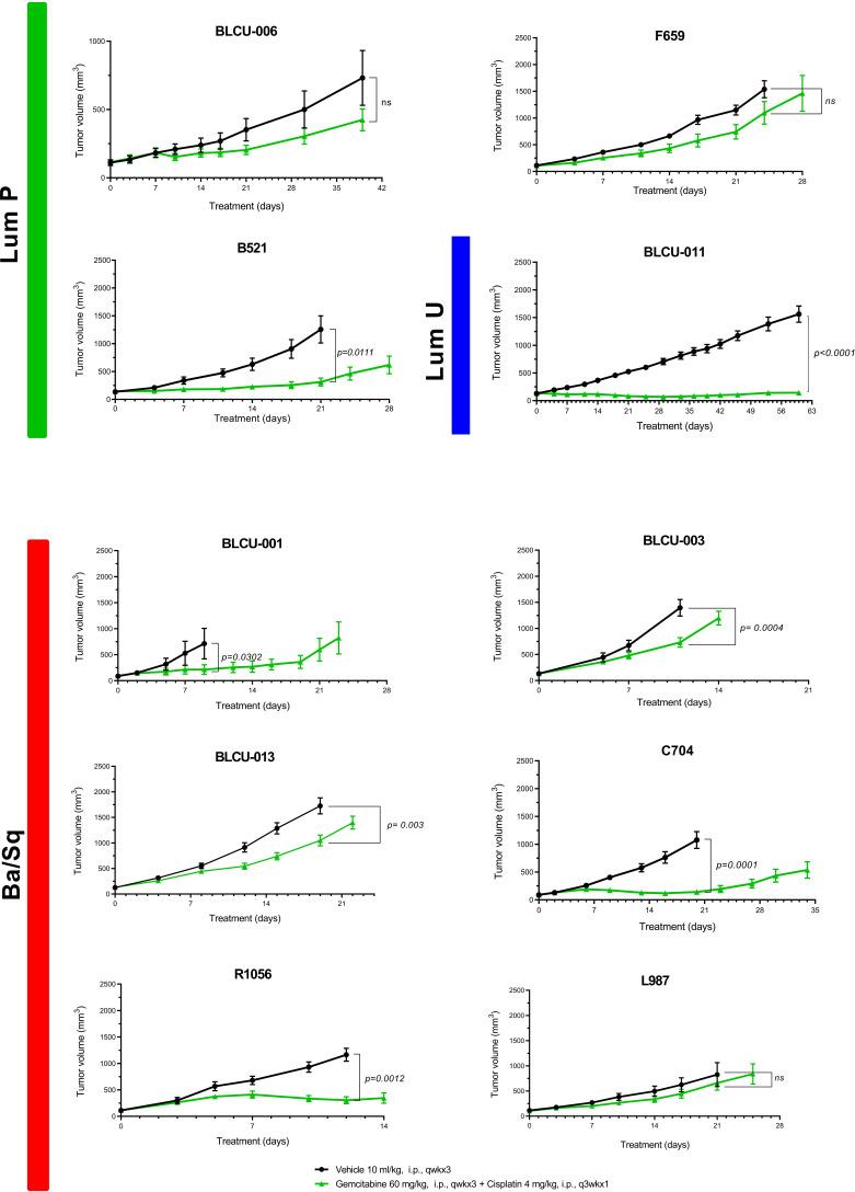 https://cdn.ncbi.nlm.nih.gov/pmc/blobs/cce2/9405192/957a9c46db63/fonc-12-930731-g004.jpg