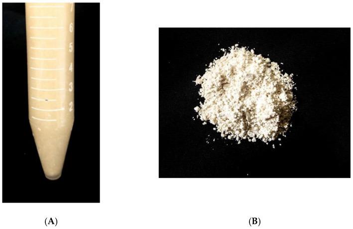 https://cdn.ncbi.nlm.nih.gov/pmc/blobs/cce2/9784488/9f3a0dda8cea/pharmaceutics-14-02830-g003.jpg