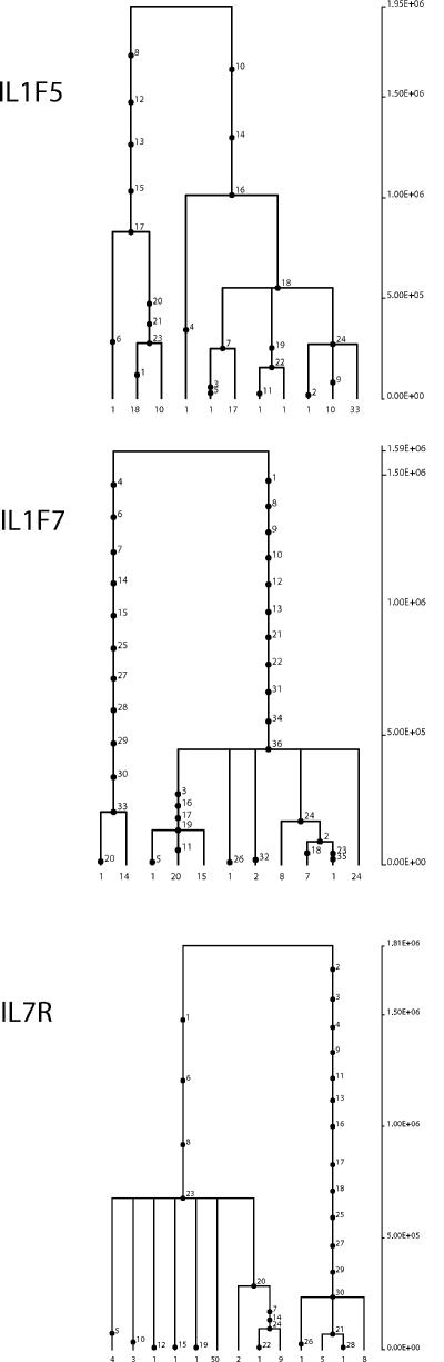 https://cdn.ncbi.nlm.nih.gov/pmc/blobs/cce3/2715056/6a5a87d064ca/JEM_20082779_LW_Fig2.jpg