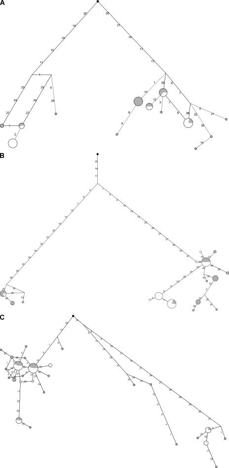 https://cdn.ncbi.nlm.nih.gov/pmc/blobs/cce3/2715056/e709a8b95bd0/JEM_20082779_GS_Fig1.jpg