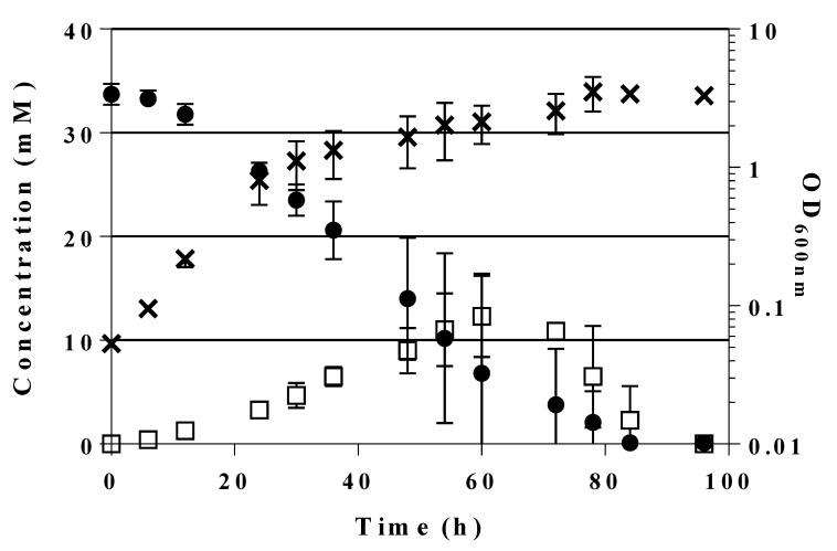 https://cdn.ncbi.nlm.nih.gov/pmc/blobs/cce4/7767278/149e5ad7dba1/ijms-21-09625-g005.jpg