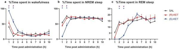 https://cdn.ncbi.nlm.nih.gov/pmc/blobs/cce5/10519815/935a5bb67e17/pyad050_fig1.jpg