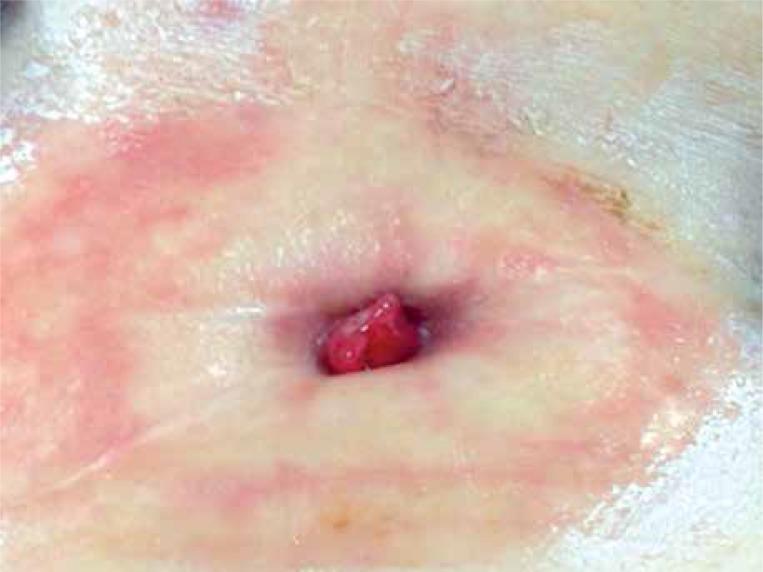 https://cdn.ncbi.nlm.nih.gov/pmc/blobs/cce5/5649491/0faeaff115db/WIITM-12-29942-g001.jpg