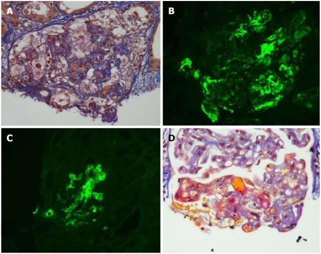 https://cdn.ncbi.nlm.nih.gov/pmc/blobs/cce5/6134269/4137793f90fd/WJT-8-122-g001.jpg