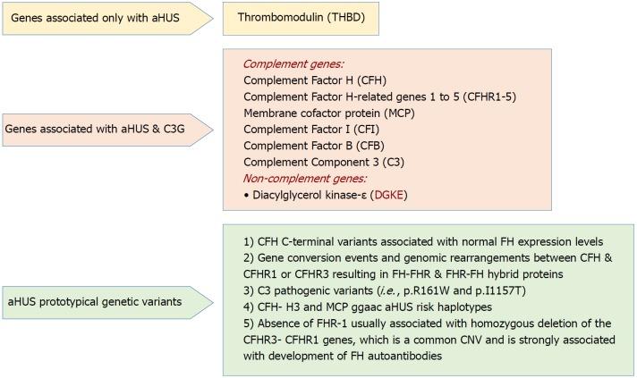 https://cdn.ncbi.nlm.nih.gov/pmc/blobs/cce5/6134269/99d51b506302/WJT-8-122-g003.jpg