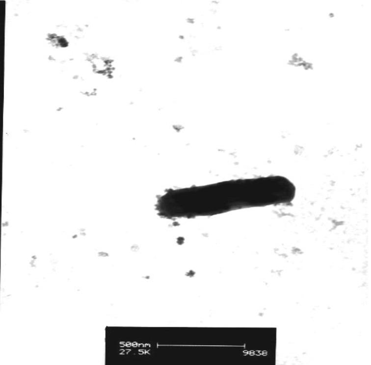 https://cdn.ncbi.nlm.nih.gov/pmc/blobs/cce6/4062627/369636d859fb/sigs.4598281-f3.jpg