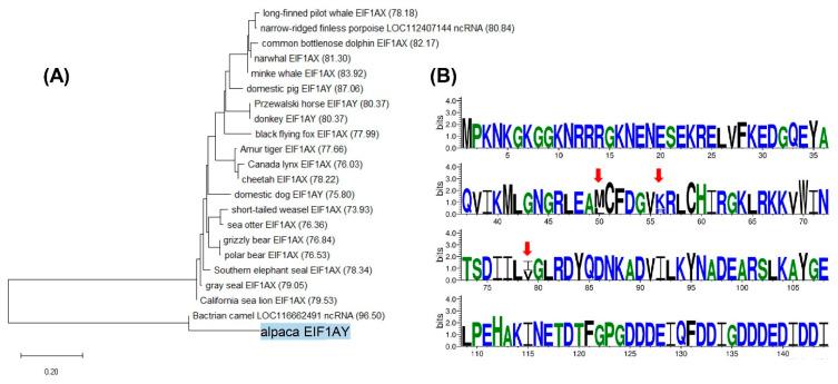 https://cdn.ncbi.nlm.nih.gov/pmc/blobs/cce7/7830431/697a585ad226/genes-12-00105-g006.jpg