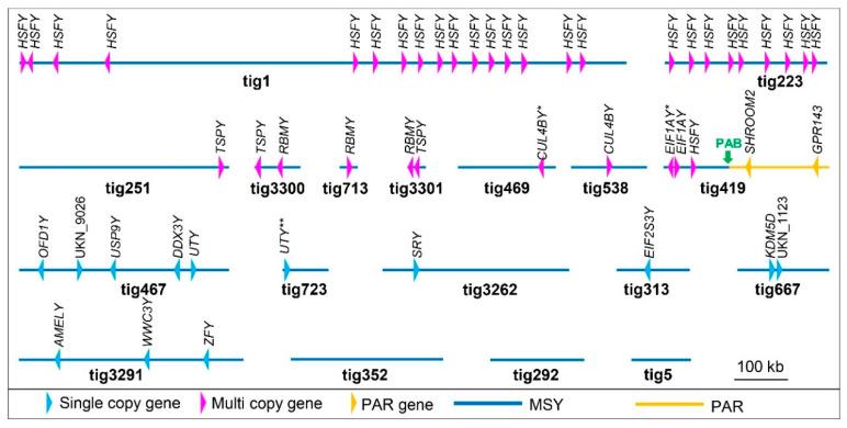 https://cdn.ncbi.nlm.nih.gov/pmc/blobs/cce7/7830431/c2370f13284c/genes-12-00105-g003.jpg